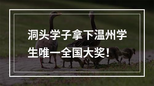 洞头学子拿下温州学生唯一全国大奖！