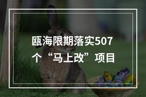 瓯海限期落实507个“马上改”项目