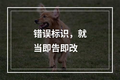 错误标识，就当即告即改