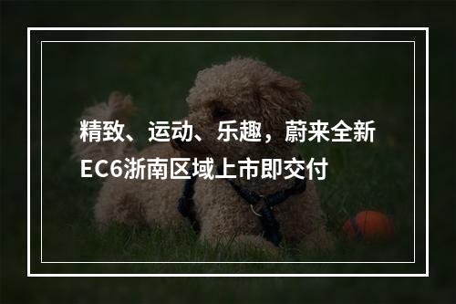 精致、运动、乐趣，蔚来全新EC6浙南区域上市即交付