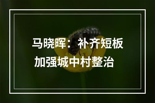 马晓晖：补齐短板 加强城中村整治