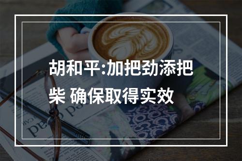 胡和平:加把劲添把柴 确保取得实效