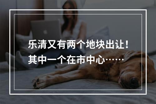 乐清又有两个地块出让！其中一个在市中心……