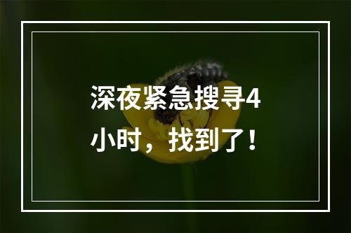 深夜紧急搜寻4小时，找到了！