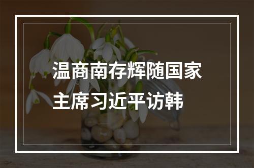 温商南存辉随国家主席习近平访韩