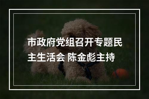 市政府党组召开专题民主生活会 陈金彪主持