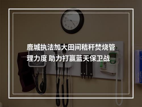 鹿城执法加大田间秸秆焚烧管理力度 助力打赢蓝天保卫战
