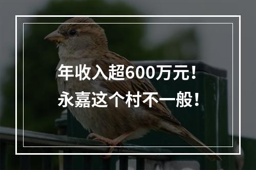 年收入超600万元！永嘉这个村不一般！