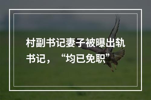 村副书记妻子被曝出轨书记，“均已免职”