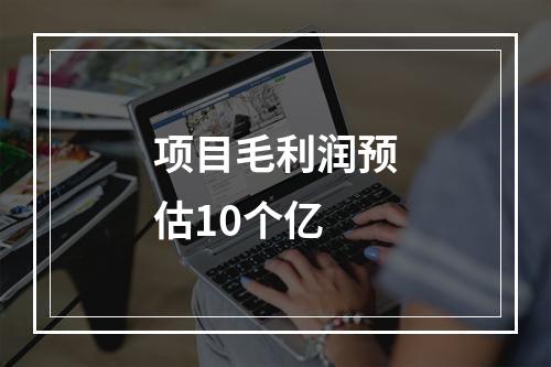 项目毛利润预估10个亿