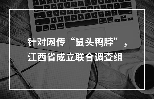 针对网传“鼠头鸭脖”，江西省成立联合调查组