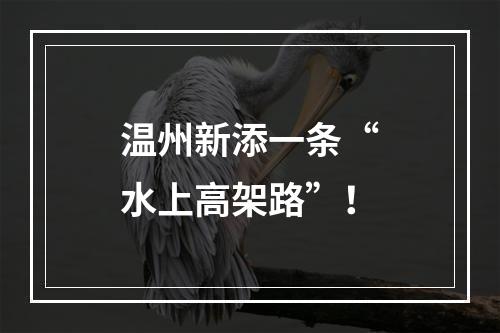 温州新添一条“水上高架路”！