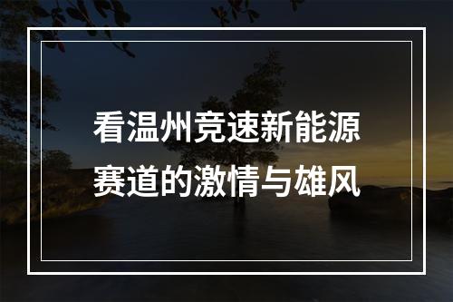 看温州竞速新能源赛道的激情与雄风