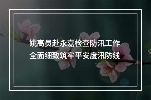姚高员赴永嘉检查防汛工作 全面细致筑牢平安度汛防线