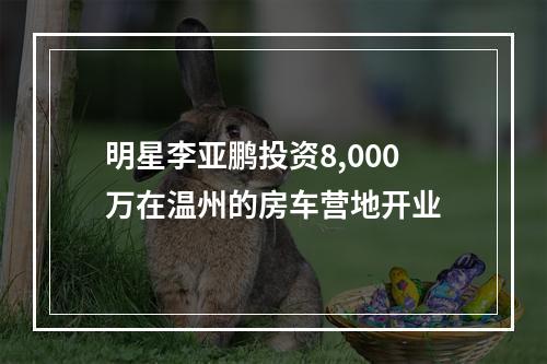 明星李亚鹏投资8,000万在温州的房车营地开业