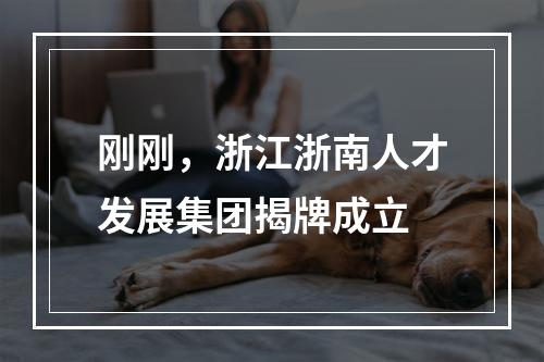 刚刚，浙江浙南人才发展集团揭牌成立