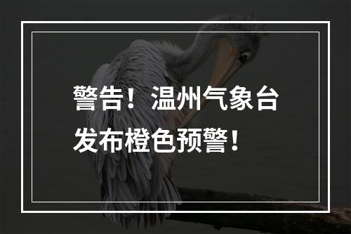 警告！温州气象台发布橙色预警！