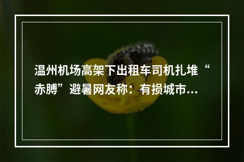 温州机场高架下出租车司机扎堆“赤膊”避暑网友称：有损城市文明形象，应设 ...