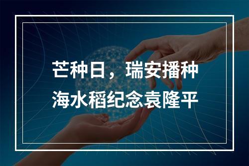芒种日，瑞安播种海水稻纪念袁隆平