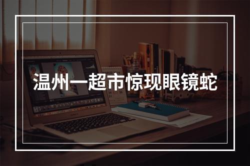 温州一超市惊现眼镜蛇