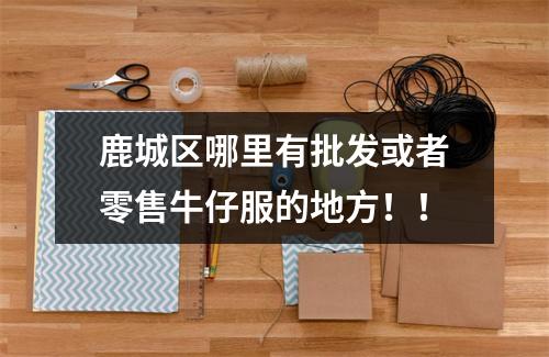 鹿城区哪里有批发或者零售牛仔服的地方！！