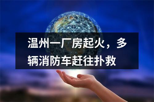 温州一厂房起火，多辆消防车赶往扑救