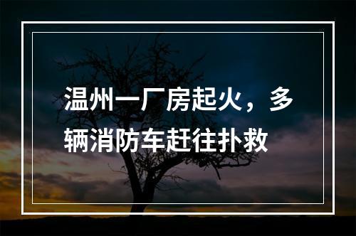 温州一厂房起火，多辆消防车赶往扑救