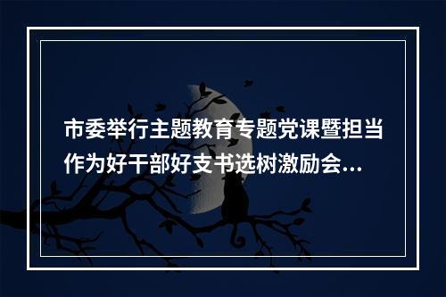 市委举行主题教育专题党课暨担当作为好干部好支书选树激励会议刘小涛作党课 ...