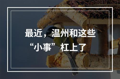 最近，温州和这些“小事”杠上了