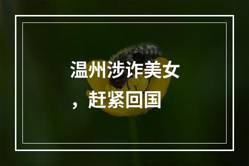 温州涉诈美女，赶紧回国