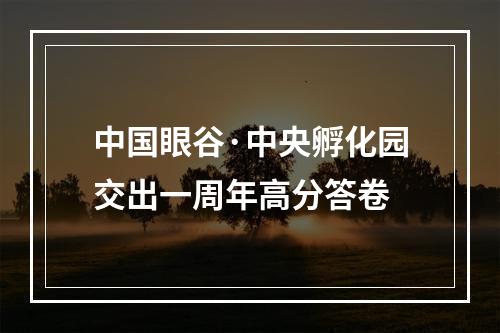 中国眼谷·中央孵化园交出一周年高分答卷