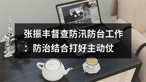 张振丰督查防汛防台工作：防治结合打好主动仗