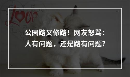 公园路又修路！网友怒骂：人有问题，还是路有问题？