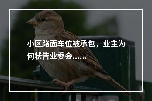 小区路面车位被承包，业主为何状告业委会......