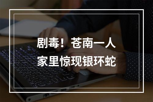 剧毒！苍南一人家里惊现银环蛇