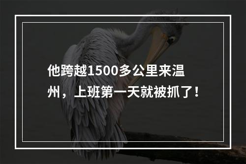 他跨越1500多公里来温州，上班第一天就被抓了！