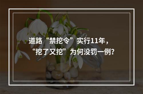 道路“禁挖令”实行11年，“挖了又挖”为何没罚一例？