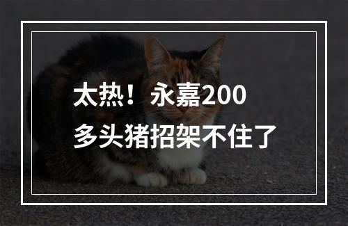 太热！永嘉200多头猪招架不住了