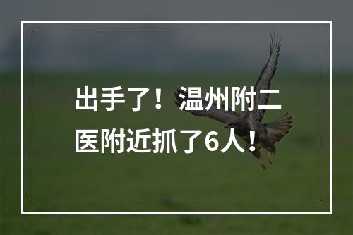 出手了！温州附二医附近抓了6人！
