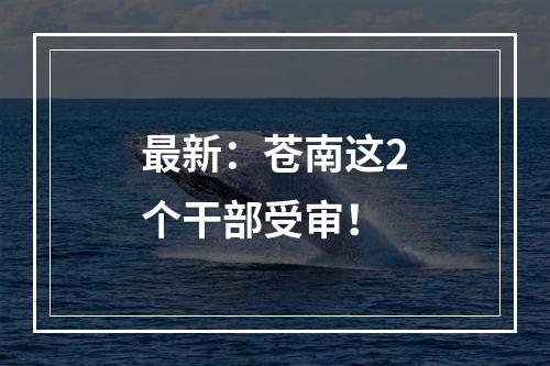 最新：苍南这2个干部受审！