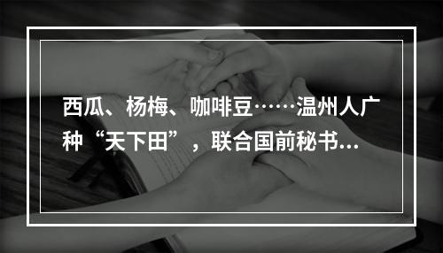 西瓜、杨梅、咖啡豆……温州人广种“天下田”，联合国前秘书长也来参观