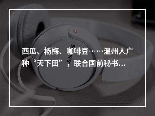 西瓜、杨梅、咖啡豆……温州人广种“天下田”，联合国前秘书长也来参观
