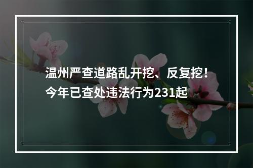 温州严查道路乱开挖、反复挖！今年已查处违法行为231起