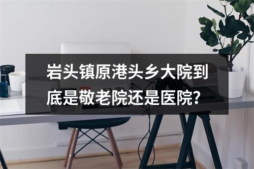 岩头镇原港头乡大院到底是敬老院还是医院？