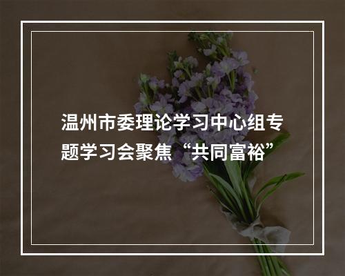 温州市委理论学习中心组专题学习会聚焦“共同富裕”