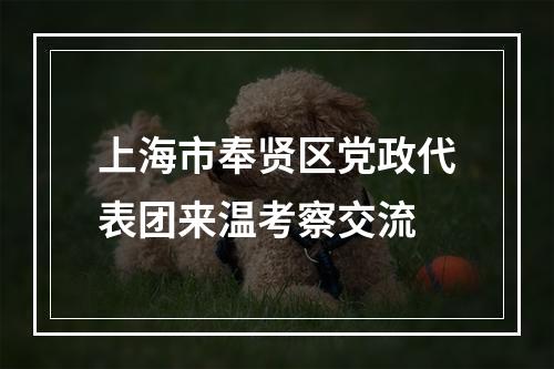 上海市奉贤区党政代表团来温考察交流