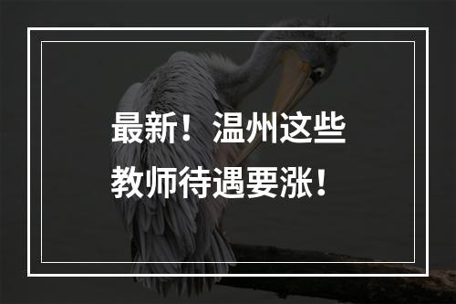 最新！温州这些教师待遇要涨！