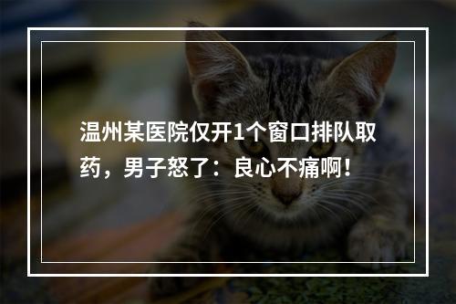 温州某医院仅开1个窗口排队取药，男子怒了：良心不痛啊！