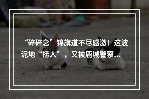 “碎碎念”锦旗道不尽感激！这波泥地“捞人”，又被鹿城警察帅到了