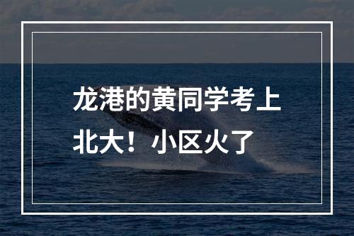 龙港的黄同学考上北大！小区火了